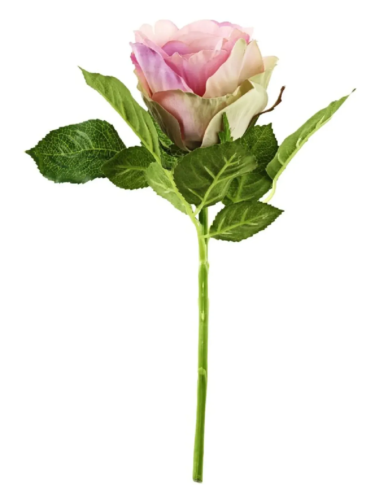 New NANU-NANA Rose, 30 Cm, Alt-rosa