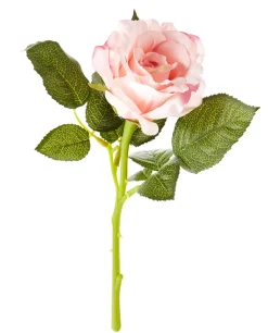 Outlet NANU-NANA Rose, 30 Cm, Apricot