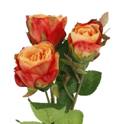 Sale NANU-NANA Rose Alina, 3 Blüten/orange, 38 Cm