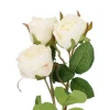 Discount NANU-NANA Rose Alina, 3 Blüten/weiß, 38 Cm