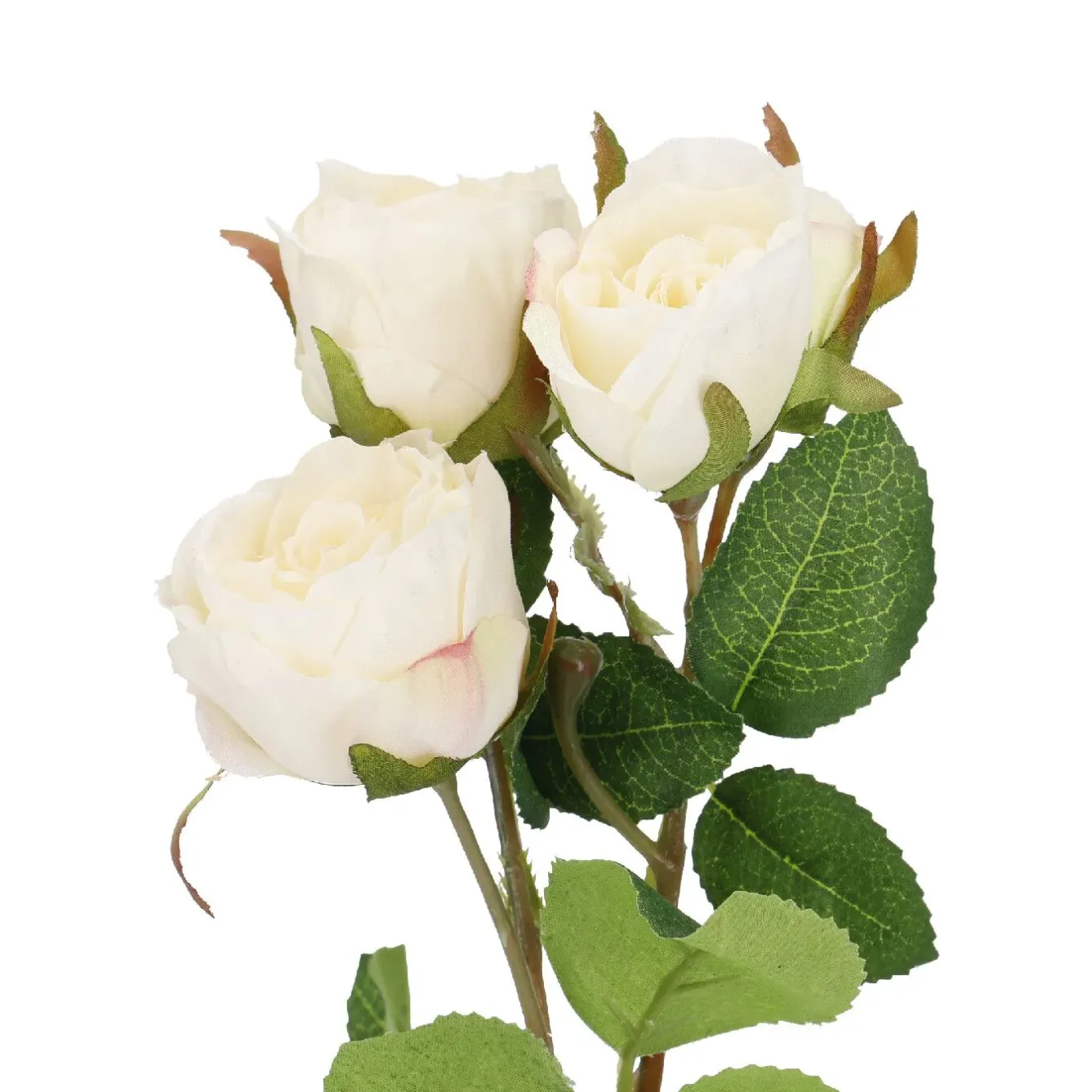 Discount NANU-NANA Rose Alina, 3 Blüten/weiß, 38 Cm