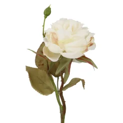 Discount NANU-NANA Rose Mathilda, Creme, 45 Cm