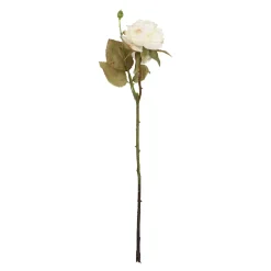 Discount NANU-NANA Rose Mathilda, Creme, 45 Cm