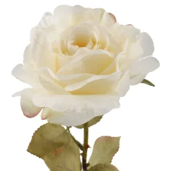 Hot NANU-NANA Rose Theresa, Creme, 63 Cm