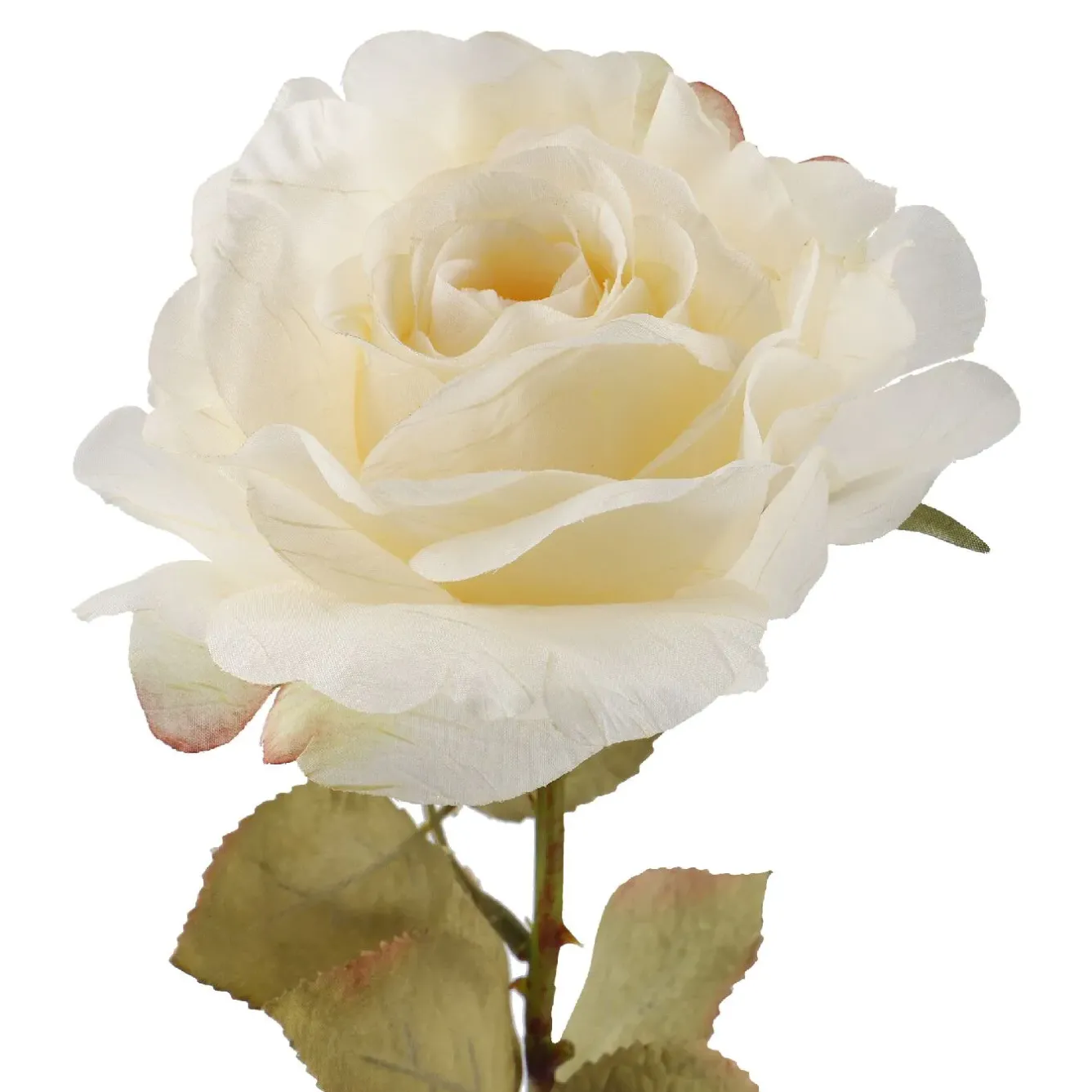 Hot NANU-NANA Rose Theresa, Creme, 63 Cm
