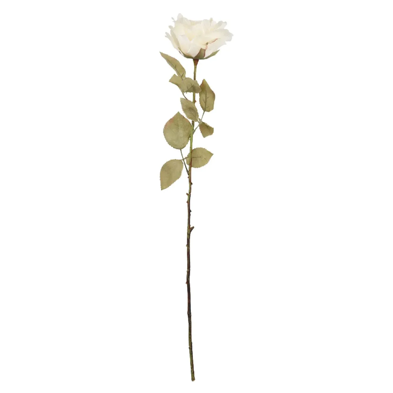 Hot NANU-NANA Rose Theresa, Creme, 63 Cm
