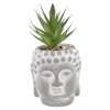 Fashion NANU-NANA Sukkulente Buddhakopf, Grün/spitz, 15 Cm