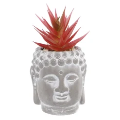 Sale NANU-NANA Sukkulente Buddhakopf, Rot/spitz, 15 Cm