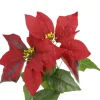 Best NANU-NANA Weihnachtsstern 2 Blüten/rot, 31 Cm