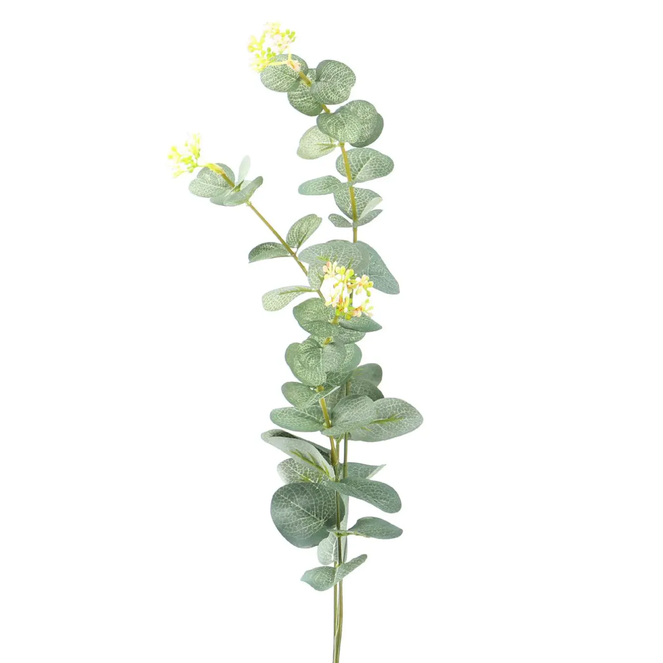 Fashion NANU-NANA Zweig Eucalyptus, 60 Cm