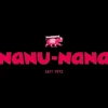 Best NANU-NANA Zweig Tanne, Schnee/Zapfen, 26 Cm
