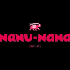 Best NANU-NANA Zweig Tanne, Schnee/Zapfen, 26 Cm