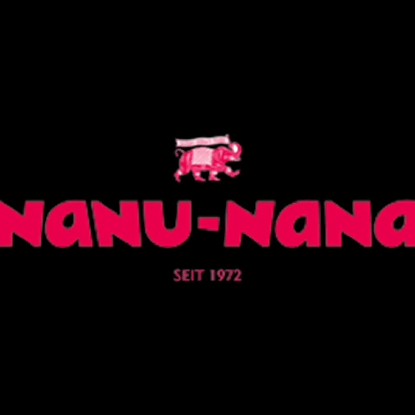 Best NANU-NANA Zweig Tanne, Schnee/Zapfen, 26 Cm